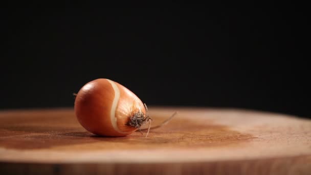 Cebolla cruda cortada por la mitad — Vídeos de Stock