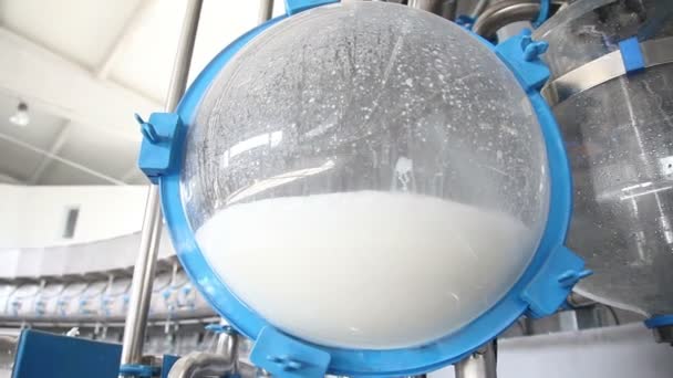 Máquina grande para ordenhar vacas — Vídeo de Stock