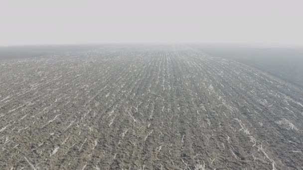 Volando Sobre Vasto Campo Una Tarde Muy Brumosa Con Baja — Vídeo de stock