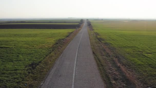 多云的日子里 在一片广阔的农田中央 用一架无人驾驶相机在一条柏油路上盘旋 — 图库视频影像