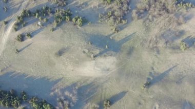 Otlar ve ormanlarla kaplı çayırların üzerinden çekilen hava görüntüsü Deliblato Sands