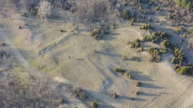 Havadan çekilen kum tepecikleri çimenlerle kaplıydı ve ağaçlar orman yollarının çokluğuyla drone tarafından çekiliyordu.