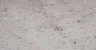 Cam mermer çerçeveye giriyor, duruyor ve sağ el onu yerden kaldırıyor.