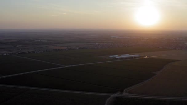 Bezpilotní Záběry Vinice Západem Slunce Letecké Záběry Záběrů Nádherných Vinic — Stock video