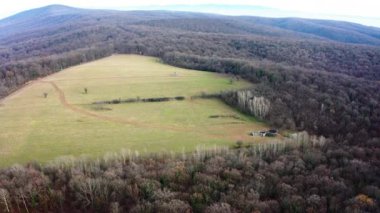Açık Çayırın Hava Görüntüsü Sonbaharın Sonlarında Ormanla çevrili