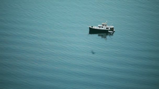 Barco solitario en el mar — Vídeos de Stock