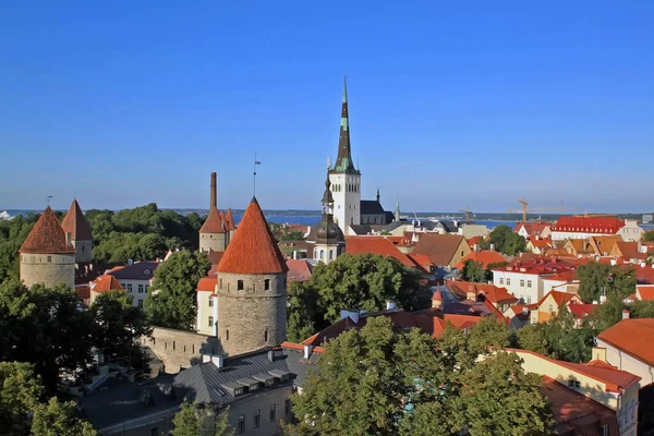 Tallinn Estland Augustus 2020 Oude Binnenstad Van Tallinn Belangrijkste Bezienswaardigheden — Stockfoto