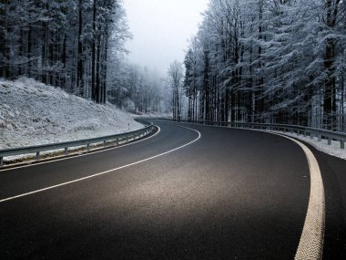 Dağ asfalt yolu sisli havalarda, ağaçlar rime bulanmış, beyaz çizgi. Kötü hava. Jeseniky Dağları, Çek Cumhuriyeti.