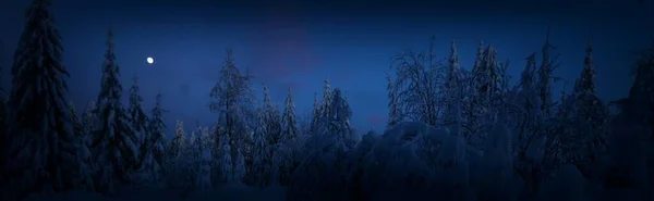 Paisaje Invernal Escénico Abetos Nevados Nieve Fresca Polvo Bosque Montaña —  Fotos de Stock