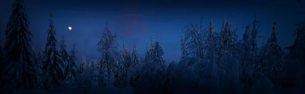 Paesaggio Invernale Panoramico Abeti Innevati Neve Fresca Polvere Foresta Montagna Immagini Stock Royalty Free