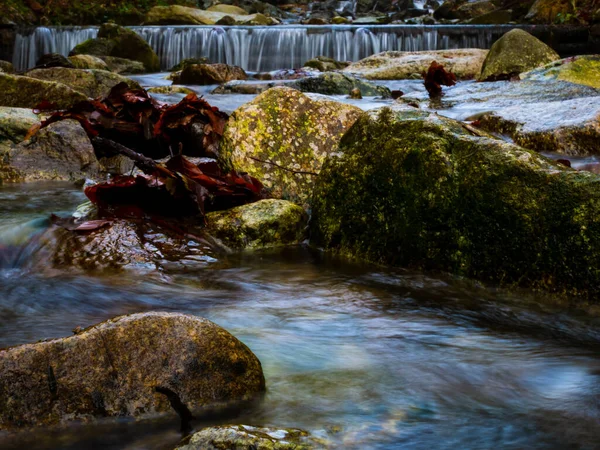 Wild river with stones and waterfall in Jeseniky mountains, Eastern Europe, Moravia. Long exposure image.