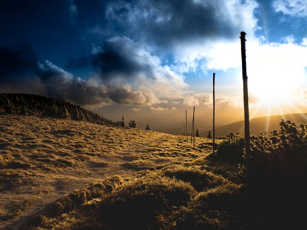 Paisaje Duro Una Cordillera Montañas Jeseniky Con Árboles Atrofiados Cubiertos — Foto de Stock
