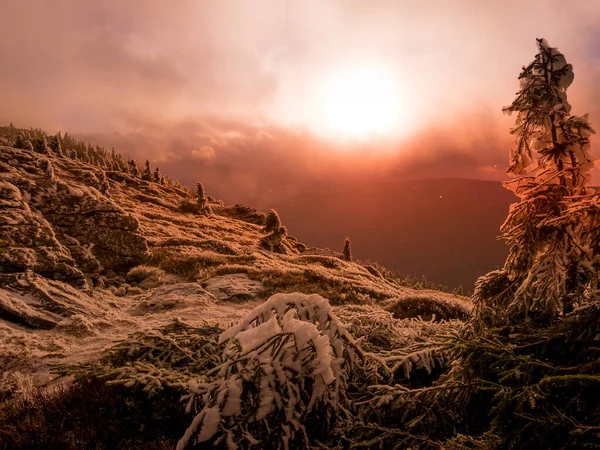 Paisaje Duro Una Cordillera Montañas Jeseniky Con Árboles Atrofiados Cubiertos — Foto de Stock