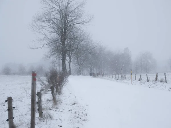 Route Asphaltée Dangereuse Montagne Cas Fortes Chutes Neige Mauvais Temps — Photo