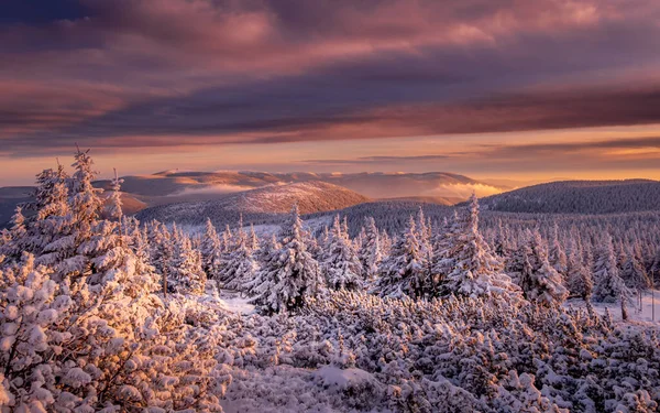 Belle Neige Dure Couvert Paysage Pittoresque Une Chaîne Montagnes Jeseniky — Photo