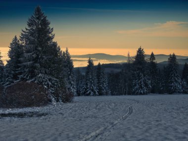 Jeseniky dağlarının kış manzarasına dayanan ağaçlarla, günışığıyla, karla, yaratıcılıkla dolu kış manzarası..