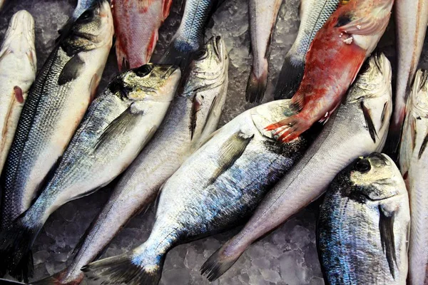 Stall Med Havsmat Fiskmarknaden Aten Grekland — Stockfoto