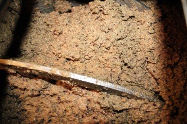 Yunanistan, Attica ve zeytin ezmesi zeytinyağı fabrikasındaki ekstra bakire zeytinyağı çıkarma sürecinde malaxation tankında.