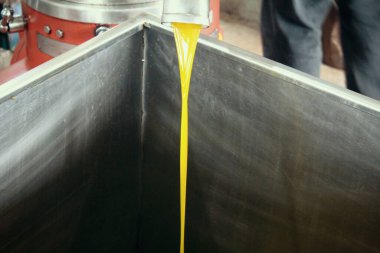 Yunanistan 'ın Attica kentindeki Atina kentinde zeytin yağı fabrikasında ekstra bakire zeytin yağı çıkarma süreci.