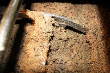 Yunanistan 'ın Attica kentindeki Attica kentinde bulunan zeytinyağı değirmeninde zeytinyağı çıkarma sürecinde zeytin ezmesi eksiltme tankında.