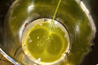 Yunanistan 'ın Attica kentindeki Atina kentinde zeytin yağı fabrikasında ekstra bakire zeytin yağı çıkarma süreci.