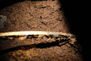 Yunanistan 'ın Attica kentindeki Attica kentinde bulunan zeytinyağı değirmeninde zeytinyağı çıkarma sürecinde zeytin ezmesi eksiltme tankında.