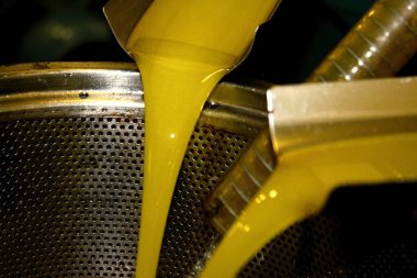 Yunanistan 'ın Attica kentindeki Atina kentinde zeytin yağı fabrikasında ekstra bakire zeytin yağı çıkarma süreci.