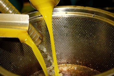 Yunanistan 'ın Attica kentindeki Atina kentinde zeytin yağı fabrikasında ekstra bakire zeytin yağı çıkarma süreci.