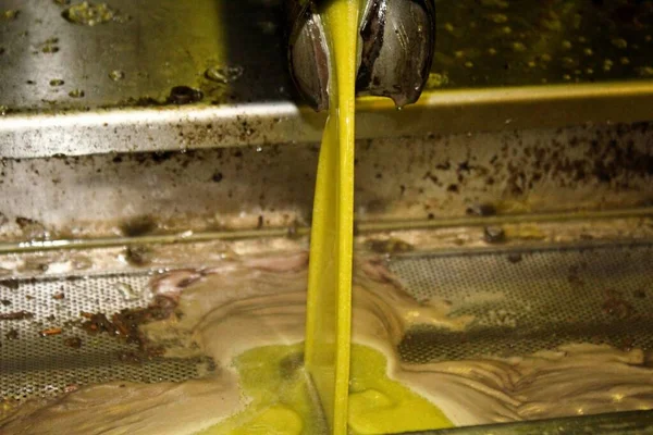Extravergine Olivenölgewinnung Einer Ölmühle Stadtrand Von Athen Attika Griechenland — Stockfoto