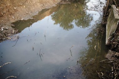Atina 'nın Attica kentinde akıntı taştı.