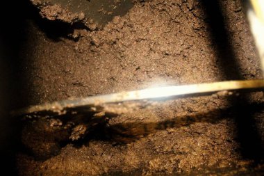 Yunanistan, Attica ve zeytin ezmesi zeytinyağı fabrikasındaki ekstra bakire zeytinyağı çıkarma sürecinde malaxation tankında.