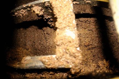 Yunanistan, Attica ve zeytin ezmesi zeytinyağı fabrikasındaki ekstra bakire zeytinyağı çıkarma sürecinde malaxation tankında.