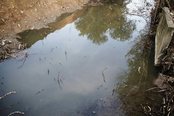Atina 'nın Attica kentinde akıntı taştı.