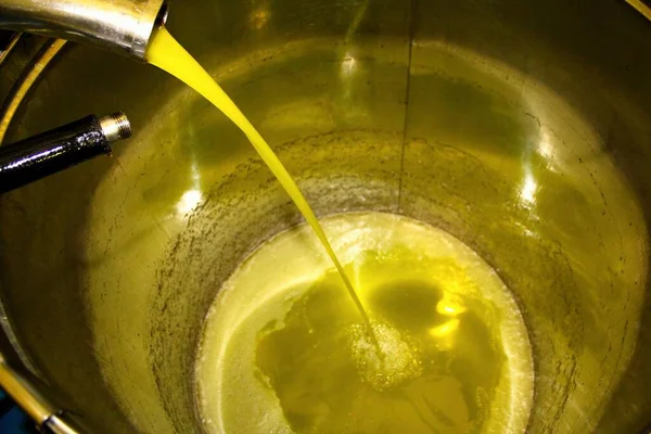 Proceso Extracción Aceite Oliva Virgen Extra Una Almazara Situada Las — Foto de Stock