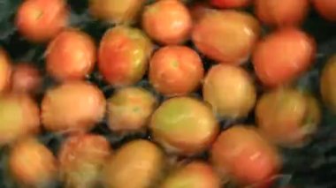  yıkanmış ve işlenmiş domates