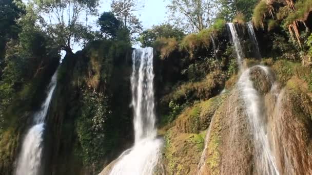 Waterval in het bos — Stockvideo