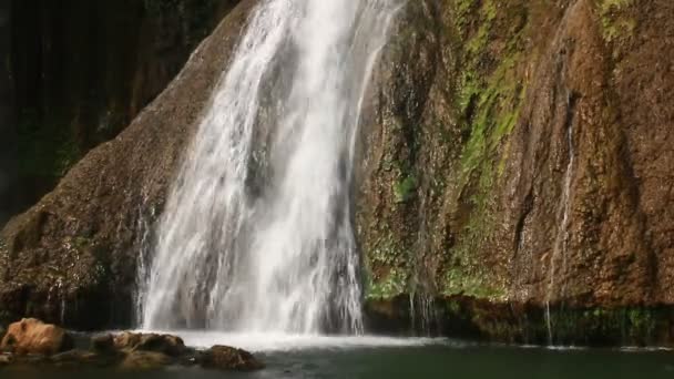 Waterval in het bos — Stockvideo