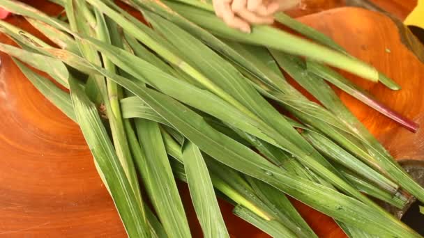 Close-up van handen van jonge vrouw bloemist boeket van bloem maken op tafel — Stockvideo