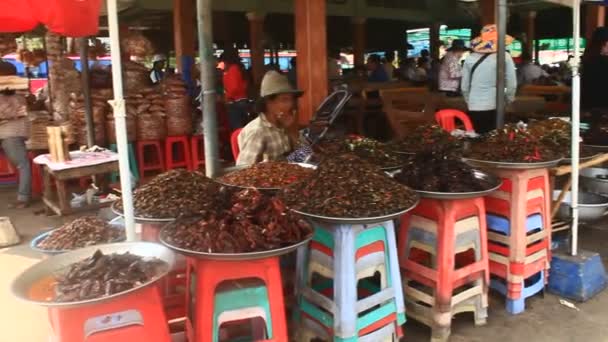 Mercados de insectos en Camboya — Vídeos de Stock