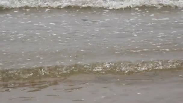 Golven en zand — Stockvideo