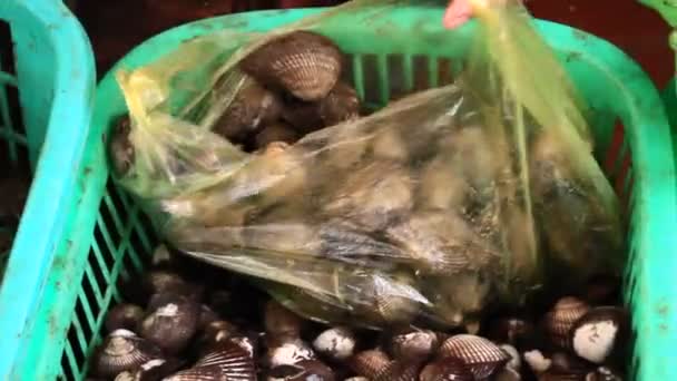 Clam, sea mussels — Stock Video