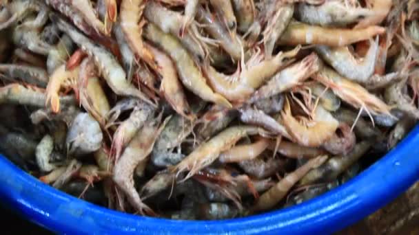 Shrimp sold in markets — Stock Video