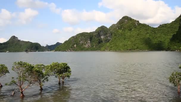 高山和大海 — 图库视频影像