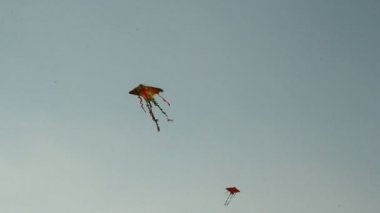 Uçurtmalar gökyüzünde uçuyor