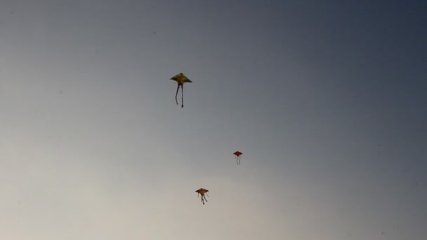 Drachen fliegen am Himmel — Stockvideo