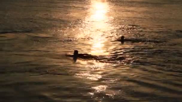 Matahari terbenam di sungai — Stok Video