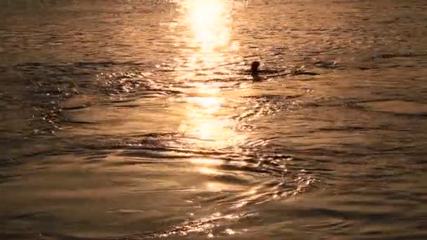Захід сонця на річці — стокове відео