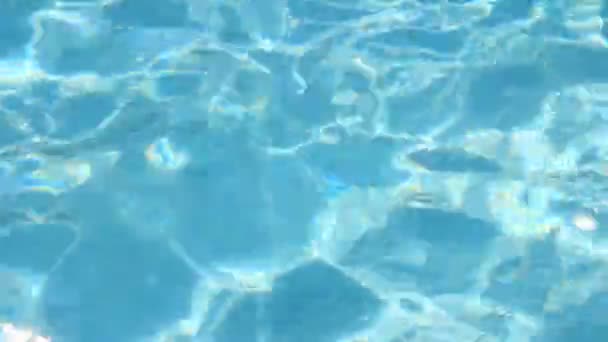 Zwemmen in het zwembad — Stockvideo
