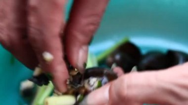 Et ve buharla doldurulmuş salyangoz.