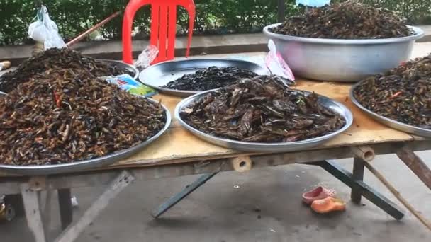 Fried Insects Cambodia — Stock Video